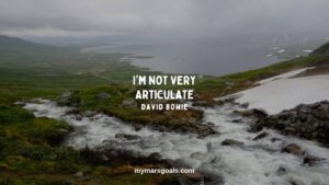 I'm not very articulate