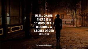 In all chaos there is a cosmos, in all disorder a secret order