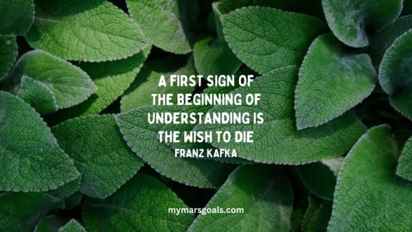 A first sign of the beginning of understanding is the wish to die