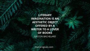 Literary imagination is an aesthetic object offered by a writer to a lover of books