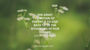 The great function of poetry is to give back to us the situations of our dreams