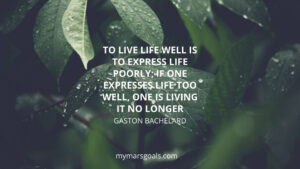 To live life well is to express life poorly; if one expresses life too well, one is living it no longer
