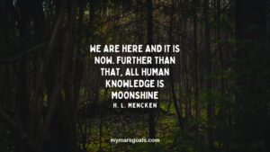 We are here and it is now. Further than that, all human knowledge is moonshine